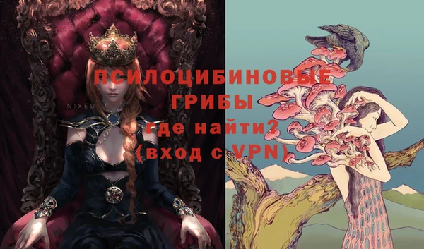 гашик Наволоки