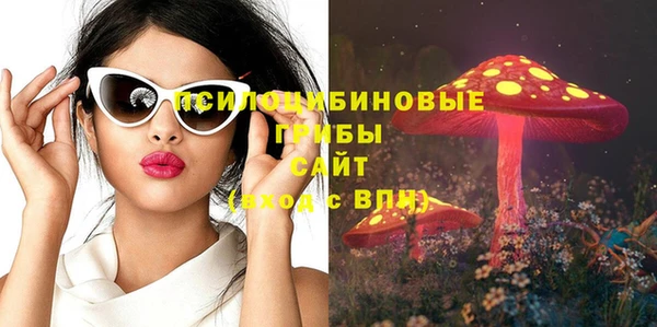 а пвп мука Надым