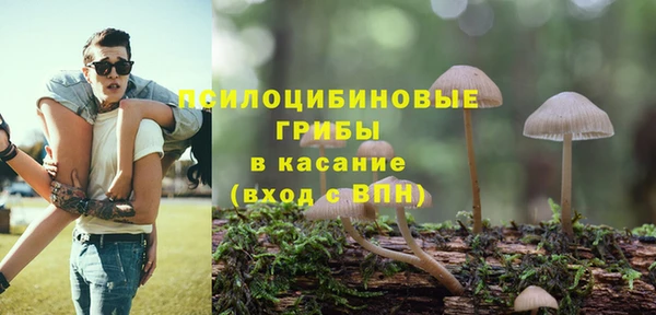 а пвп мука Надым
