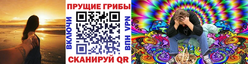 Псилоцибиновые грибы мицелий  Прохладный 